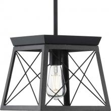 Progress P500041-031 - Briarwood Collection One-Light Textured and Cerused Black Farmhouse Style Hanging Mini-Pendant Light