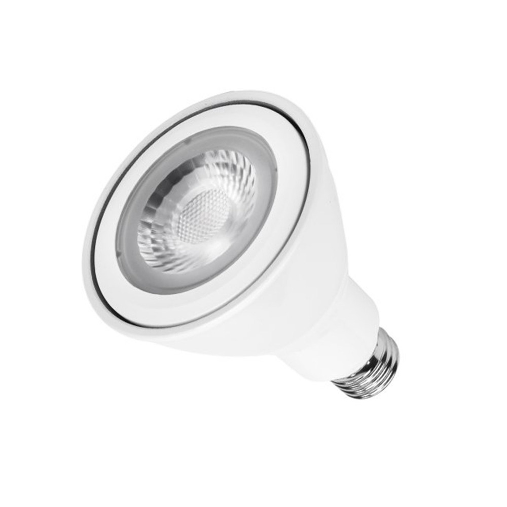 Par30 Medium Base 120V LED Lamp in White