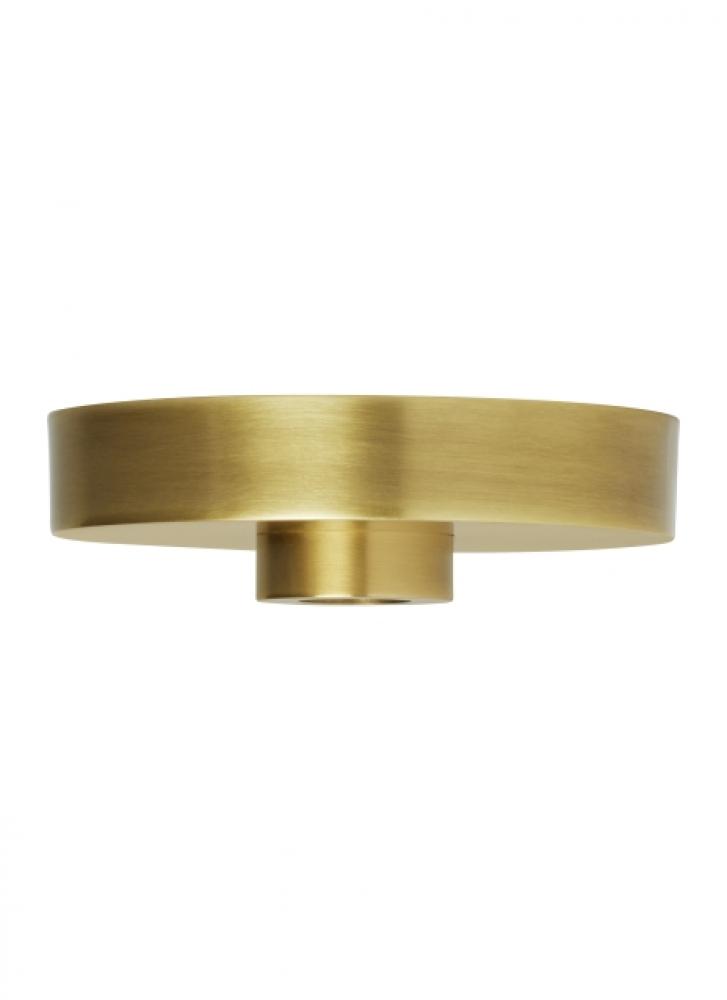 Modern Line-Voltage Shallow Canopy in a Natural Brass/Gold Colored finish