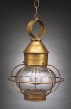 Northeast Lantern 2532-AB-MED-CSG - Caged Onion Hanging Antique Brass Medium Base Socket Clear Seedy Glass