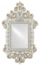 Currey 1000-0028 - Cecilia Rectangular Mirror