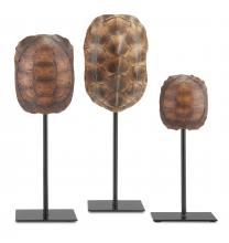 Currey 1200-0433 - Turtle Shells Set of 3