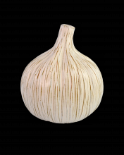 Currey 1200-0539 - Medium White Garlic Bulb
